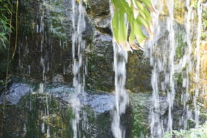 箱根『強羅公園』熱帯植物館